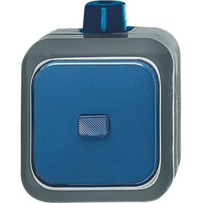Busch-Jaeger Wechselschalter 2601/6 WDI | Aufputz | IP66 wasserdicht | 16A 250V | Thermoplast | grau/blau