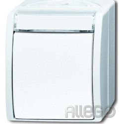 Busch-Jaeger Wechselschalter AP, m.Namensschild 2601/6 WN-53