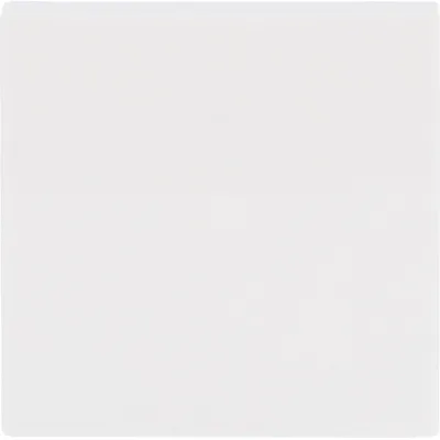 Busch-Jaeger Wippe 2506-914 | Schalterabdeckung Busch-balance SI | 1-fach | Unterputz | Thermoplast glänzend | alpinweiß
