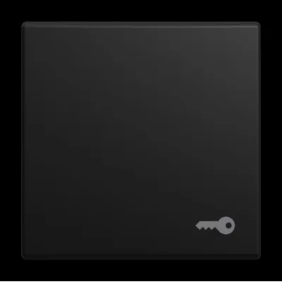 BUSCH-JAEGER Wippe 2520 TR-915 | Symbol Schlüssel | Schalterabdeckung | Busch-balance SI | Kunststoff matt schwarz