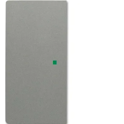 Busch-Jaeger Wippe 6230-20-803 2fach graumetallisch