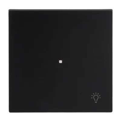 BUSCH-JAEGER Wippe 1-fach 6231-10-45M | Taster Lichtschalter | Licht Symbol | Kunststoff Thermoplast | matt | schwarz