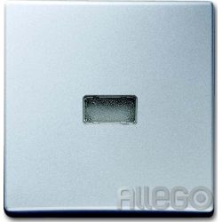 Busch-Jaeger Wippe alusilber Kontroll-Wechsel 2107-33