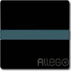 Busch-Jaeger Wippe anth Aus,Wechsel,m.Beschr 2106 N-35