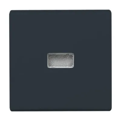 Busch-Jaeger Wippe 2107-35 | Kontrollwippe Allwetter 44 | rote Kalotte | IP44 | anthrazit | Kunststoff | glänzend