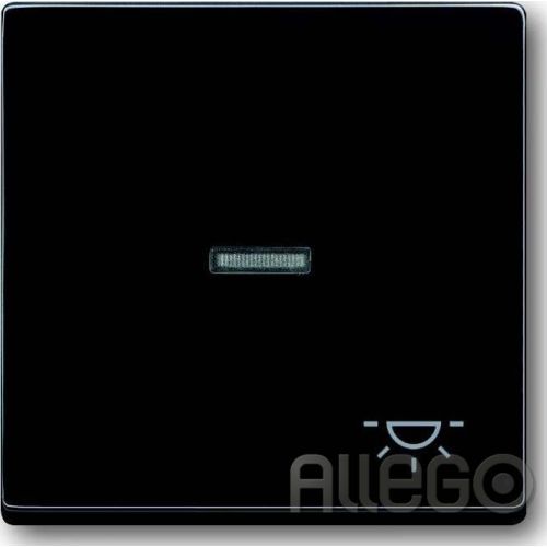 Bild: Busch-Jaeger Wippe anth mit Symbol Licht 1789 LI-81