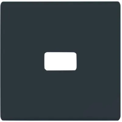 Busch-Jaeger Wippen-Abdeckung 2120-35 | Schalterabdeckung Symbol | Allwetter 44 IP44 | anthrazit