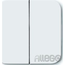 Busch-Jaeger Wippe aws 2545-214
