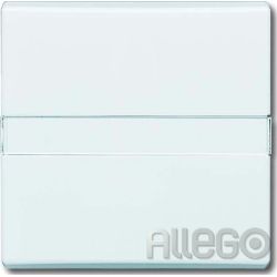 Busch-Jaeger Wippe aws Aus,Wechsel,m.Beschr 2106 N-34