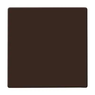 Busch-Jaeger Wippe 2106-31 | Schalterabdeckung Unterputz Allwetter 44 IP44 | glänzend Thermoplast | braun