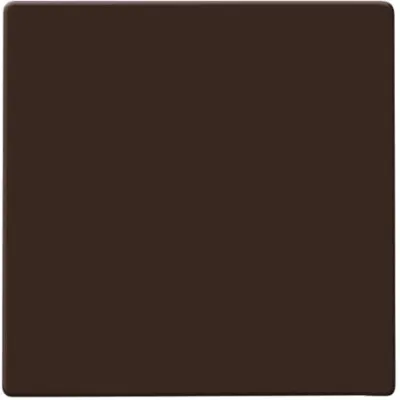 Busch-Jaeger Wippe 2106-31 | Schalterabdeckung Unterputz Allwetter 44 IP44 | glänzend Thermoplast | braun