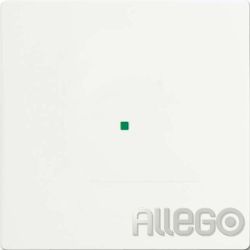 Busch-Jaeger Wippe studiows mt 6230-10-884