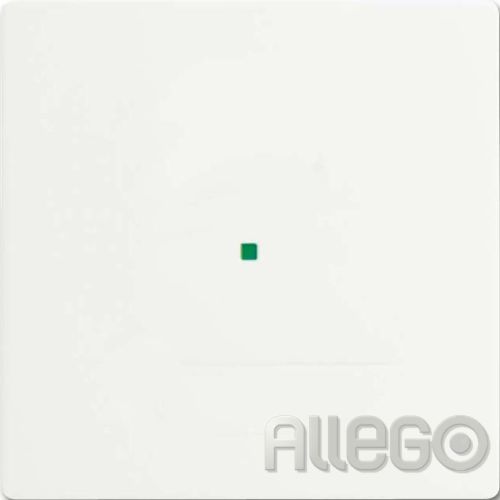 Bild: Busch-Jaeger Wippe studiows mt 6230-10-884