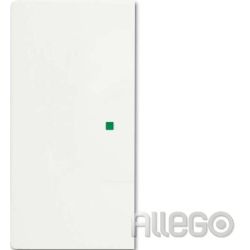 Busch-Jaeger Wippe studiows mt 6230-20-884