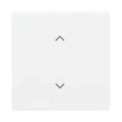 Busch-Jaeger Wippe 1-fach 6232-10-884 | Jalousie Symbol | KNX & free@home | studioweiß matt | Thermoplast