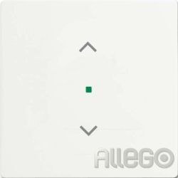 Busch-Jaeger Wippe studiows mt 6232-10-884