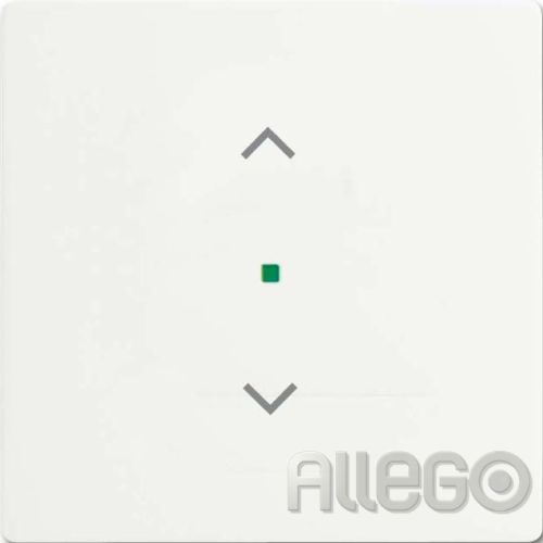 Bild: Busch-Jaeger Wippe studiows mt 6232-10-884