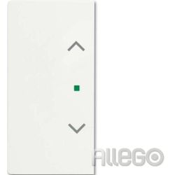 Busch-Jaeger Wippe studiows mt 6232-20-884