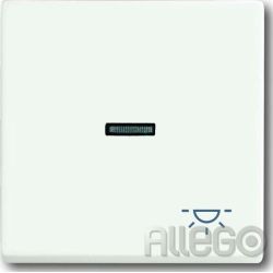 Busch-Jaeger Wippe stws mt mit Symbol Licht 1789 LI-884