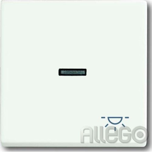 Bild: Busch-Jaeger Wippe stws mt mit Symbol Licht 1789 LI-884