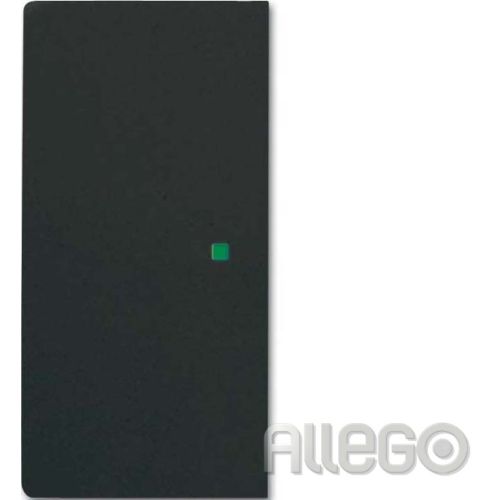 Bild: Busch-Jaeger Wippe sw mt 6230-20-885