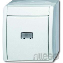 Busch-Jaeger Wipptaster,mit Beleuchtung 2621 WGL-54