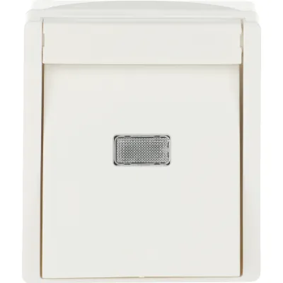 Busch-Jaeger Wipptaster 2621 WGL-54 | Schließer 1-polig | Aufputz IP44 | mit Beleuchtung | ocean Serie | alpinweiß