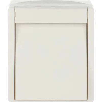 Busch-Jaeger Wipptaster 2621 W-54 | Aufputz 1-polig Schließer | IP44 | mit N-Klemme | Thermoplast | alpinweiß