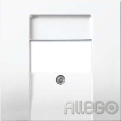 Busch-Jaeger Zentralplatte TAE 2539-914 Busch-balance SI aws glz Busch-Jaeger Ze