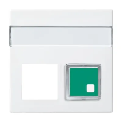 Busch-Jaeger Zentralscheibe 2-fach 1572 CN-914 | Beschriftungsfeld | für Signaltaster | Thermoplast | alpinweiß