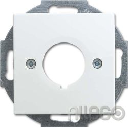 Busch-Jaeger Zentralscheibe alpinws f.Datenkommunikatio 2533-914