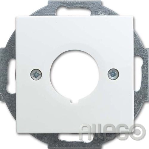 Bild: Busch-Jaeger Zentralscheibe alpinws f.Datenkommunikatio 2533-914