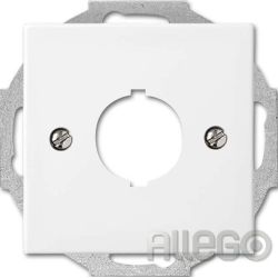Busch-Jaeger Zentralscheibe alpinws f.Datenkommunikatio 2534-914