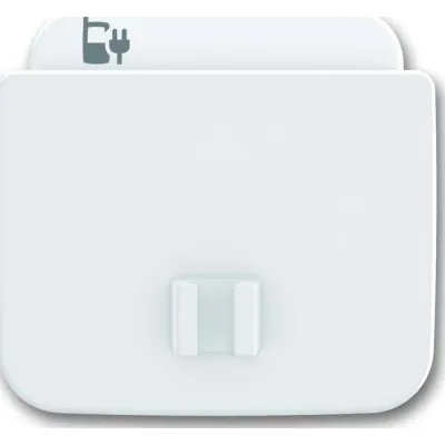 Busch-Jaeger Zentralscheibe alpinws f.USB-Ladest-Einsat 6478-214