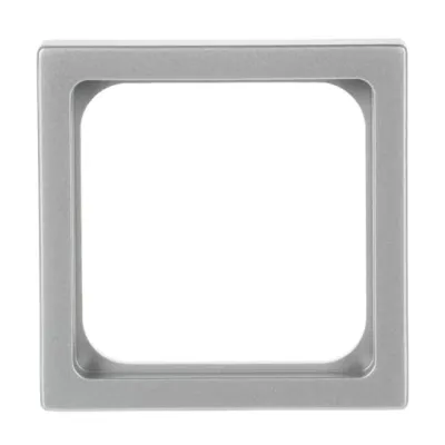 Busch-Jaeger Zentralscheibe 1746/10-83 | Abdeckung 50x50mm | alusilber | Future Linear | Kunststoff | IP20