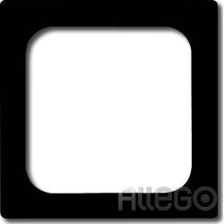 Busch-Jaeger Zentralscheibe anth 50x50,f.TAE-Einsatz 1746/10-81