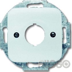 Busch-Jaeger Zentralscheibe aws 19mm Befehlsgeräte 2534-214