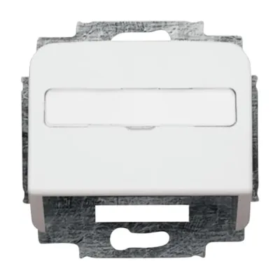 Busch-Jaeger Zentralscheibe 1758-214 | Tragring | Datenanschluss | Beschriftungsfeld | alpinweiß | IP20