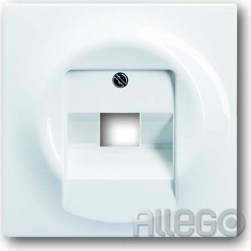 Bild: Busch-Jaeger Zentralscheibe aws f.UAE-Anschlussdo.1f 1803-74