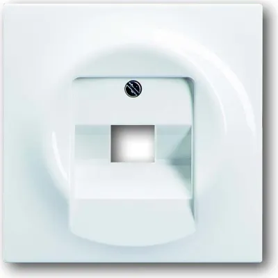 Busch-Jaeger Zentralscheibe 1803-74 | Abdeckung UAE/IAE 1-fach | alpinweiß | glänzend | halogenfrei