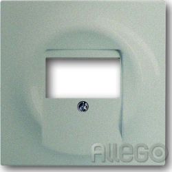 Busch-Jaeger Zentralscheibe cha f.UAE/TAE/LS 1766-79
