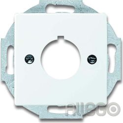 Busch-Jaeger Zentralscheibe dav/sws 22,5mm Befehlsgeräte 2533-84