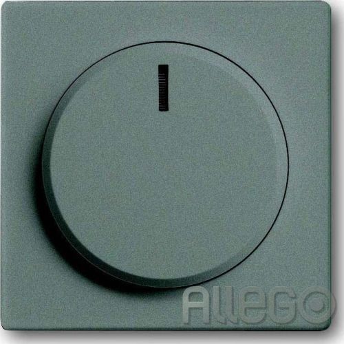 Bild: Busch-Jaeger Zentralscheibe meteor/gr für Drehdimme 6540-803-102