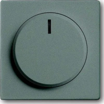 Busch-Jaeger Zentralscheibe für Dimmer 6540-803-102 | Drehknopf | Glimmlampe | erhöhte Bauform | IP20 | graumetallic