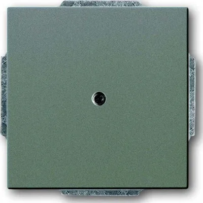 Busch-Jaeger Zentralscheibe mit Tragring 1749-803 | Kabelauslass Unterputz | Zugentlastung | IP20 | graumetallic