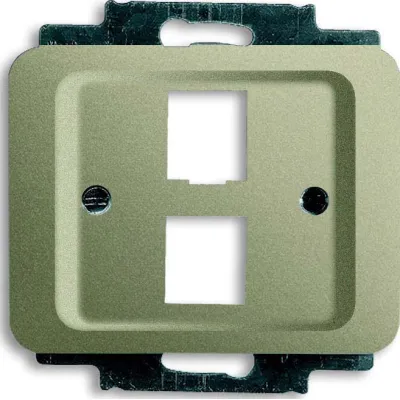 Busch-Jaeger Zentralscheibe pall für 2 Modular Jack 2561-02-260