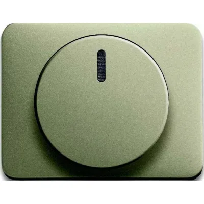 Busch-Jaeger Zentralscheibe pall für Drehdimmer 6540-260