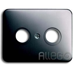 Busch-Jaeger Zentralscheibe pla f.Antennendose 2Loch 1743-20