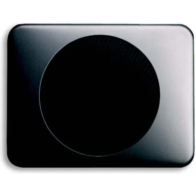 Busch-Jaeger Zentralscheibe 8253-20 | Zentralplatte Lautsprecher-Einsatz | Unterputz | Kunststoff | IP20 | platin