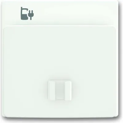 Busch-Jaeger Zentralscheibe studiows/ma f.USB-Ladest-Ei 6478-884